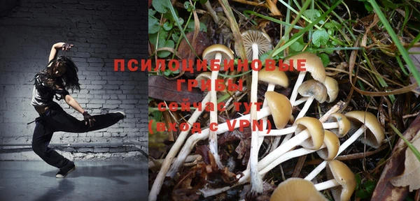 крисы Михайловск