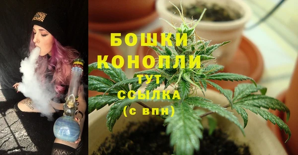 крисы Михайловск