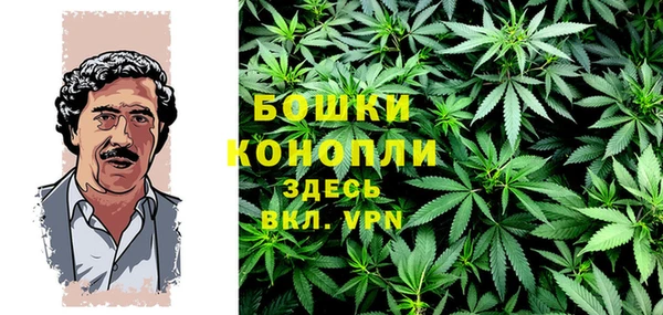 крисы Михайловск