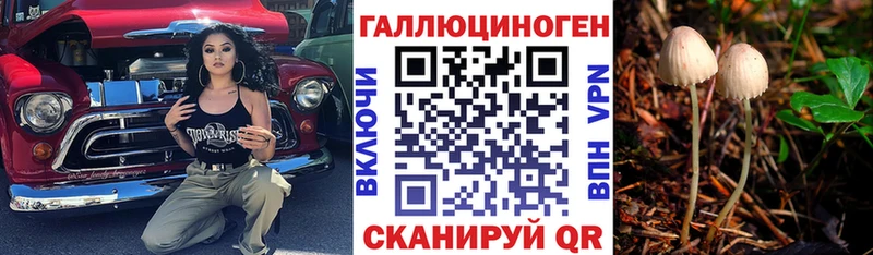 Купить  Малоархангельск  Псилоцибиновые грибы MAGIC MUSHROOMS 